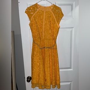 NWOT Eva Mendes Belted Lace Knee-Length Dress